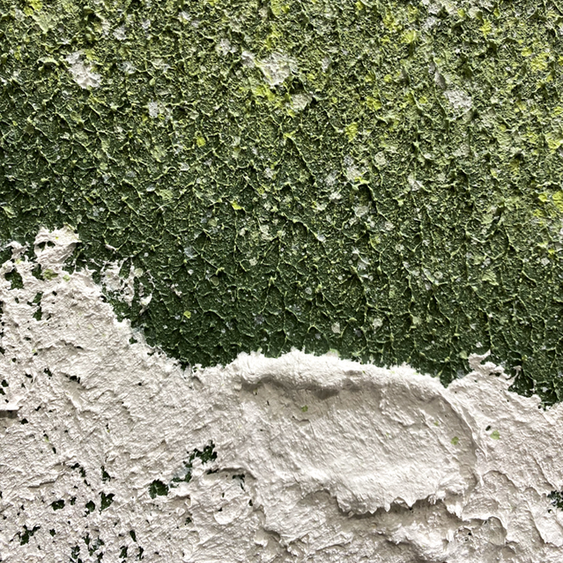 YZ Greenery Texture Painting