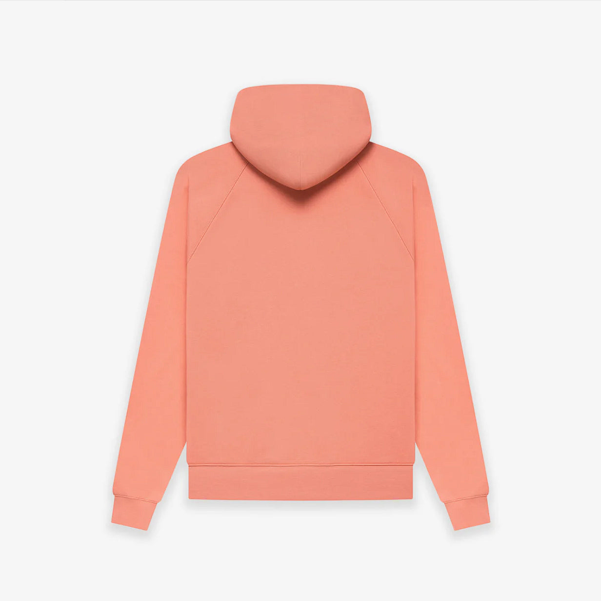ESS FW22 Hoodie